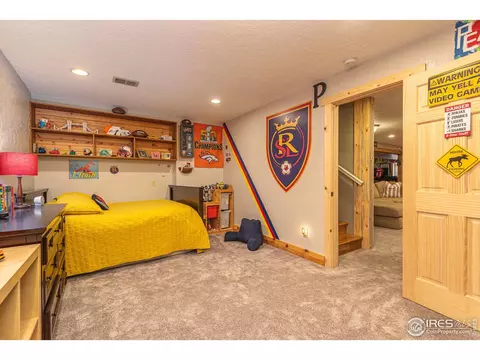 598 15th St, Windsor, CO 80550 photo 29