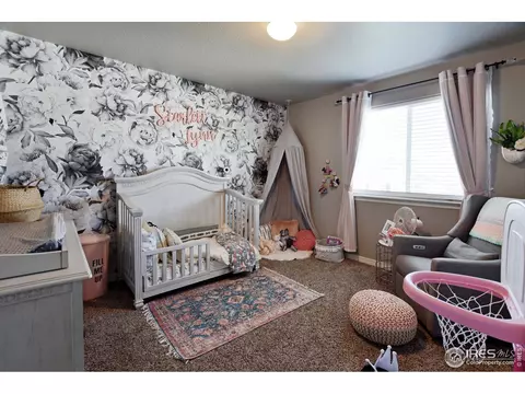 5500 Osbourne Dr, Windsor, CO 80550 photo 18