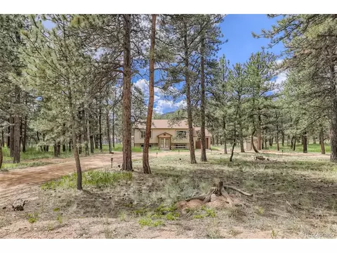 706 Gunsmoke Dr, Bailey, CO 80421 photo 3