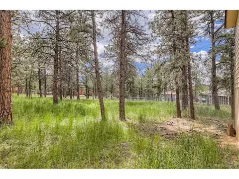 706 Gunsmoke Dr, Bailey, CO 80421 photo 32