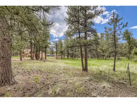 706 Gunsmoke Dr, Bailey, CO 80421 photo 4