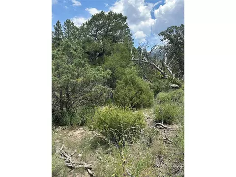 Undisclosed, Mosca, CO 81146 photo 8