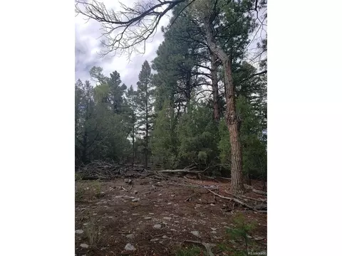 Undisclosed, Mosca, CO 81146 photo 11