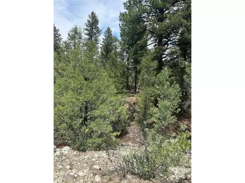 Undisclosed, Mosca, CO 81146 photo 6