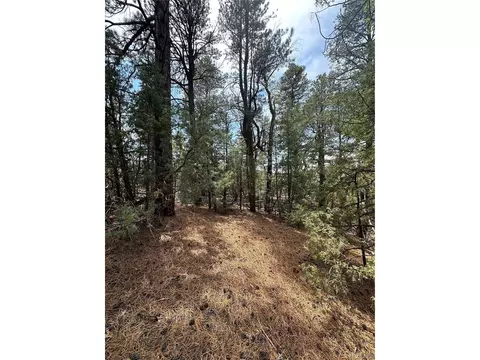 Undisclosed, Mosca, CO 81146 photo 3