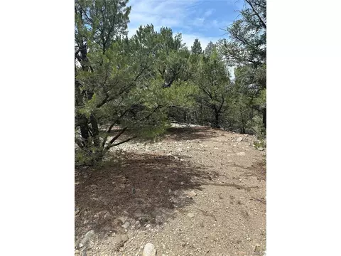 Undisclosed, Mosca, CO 81146 photo 5