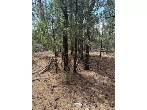 Undisclosed, Mosca, CO 81146