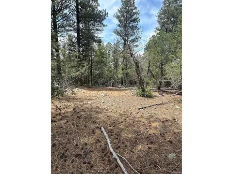Undisclosed, Mosca, CO 81146 photo 4
