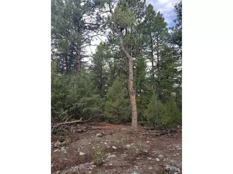 Undisclosed, Mosca, CO 81146 photo 2