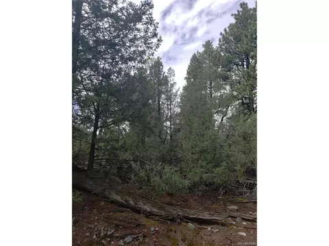 Undisclosed, Mosca, CO 81146 photo 13