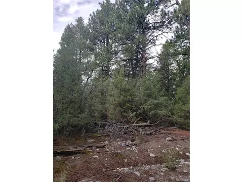 Undisclosed, Mosca, CO 81146 photo 12