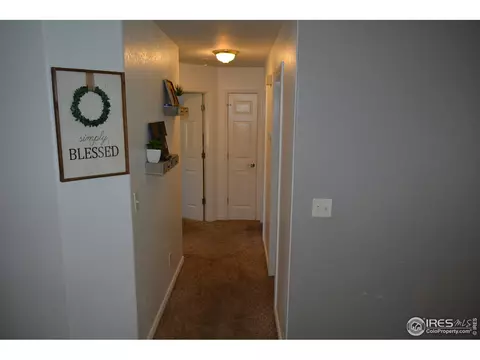 3908 Tumbleweed Dr, Evans, CO 80620 photo 22