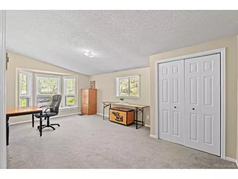 Other - 9030 Rex Ln, Conifer, CO 80433 photo 3 of 6