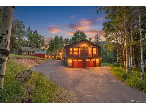9030 Rex Ln, Conifer, CO 80433