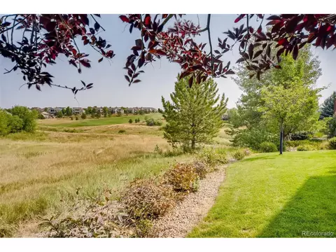 22465 E Alder Dr, Aurora, CO 80016 photo 30