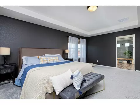 22198 E 45th Pl, Aurora, CO 80019 photo 19