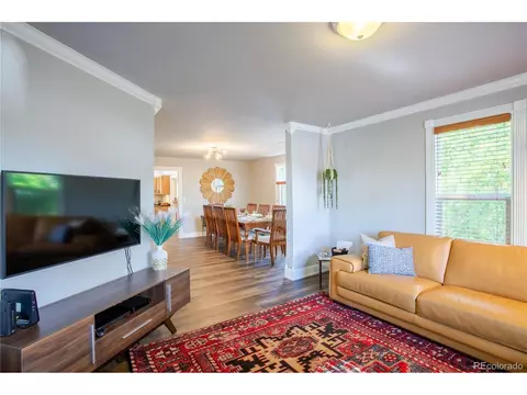 334 E Mccune Ave, Fruita, CO 81521 photo 6