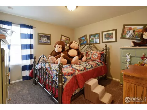 427 3rd St, Severance, CO 80550 photo 15