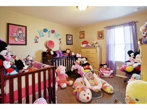 427 3rd St, Severance, CO 80550 photo 14