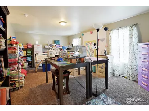 427 3rd St, Severance, CO 80550 photo 22