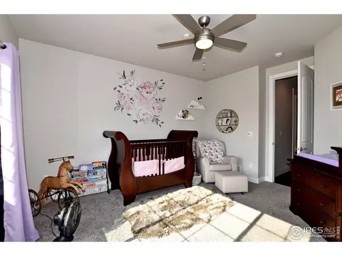 2170 Honeybee Ct, Windsor, CO 80550 photo 20