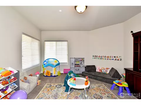2170 Honeybee Ct, Windsor, CO 80550 photo 15