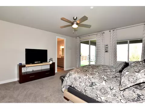 2170 Honeybee Ct, Windsor, CO 80550 photo 24