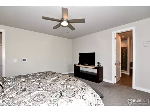 2170 Honeybee Ct, Windsor, CO 80550 photo 25