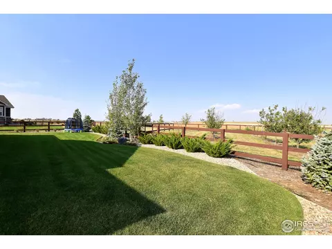 2170 Honeybee Ct, Windsor, CO 80550 photo 38