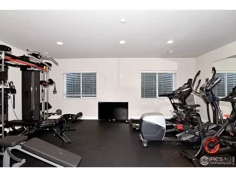 2170 Honeybee Ct, Windsor, CO 80550 photo 35