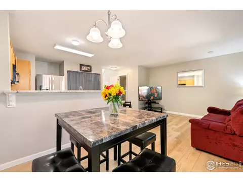 2255 E 103rd Pl, Thornton, CO 80229 photo 8