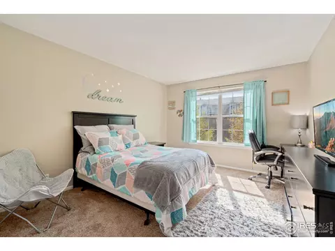 2255 E 103rd Pl, Thornton, CO 80229 photo 19