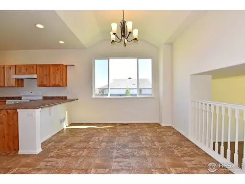 1001 Muntjac St, Severance, CO 80550 photo 10