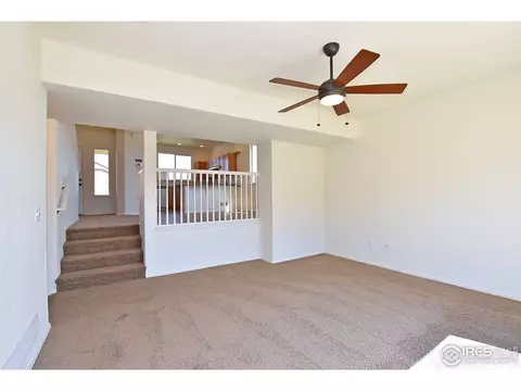 1001 Muntjac St, Severance, CO 80550 photo 20