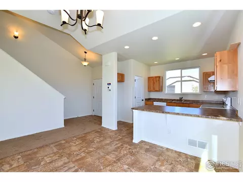 1001 Muntjac St, Severance, CO 80550 photo 12