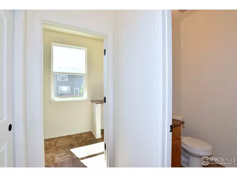 1001 Muntjac St, Severance, CO 80550 photo 21