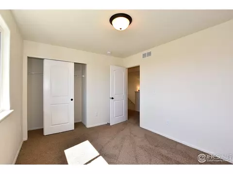1001 Muntjac St, Severance, CO 80550 photo 29