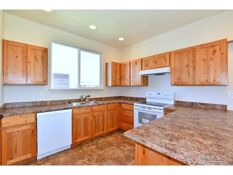 1001 Muntjac St, Severance, CO 80550 photo 14
