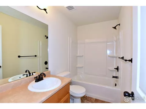 1001 Muntjac St, Severance, CO 80550 photo 30