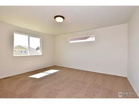 1001 Muntjac St, Severance, CO 80550 photo 25