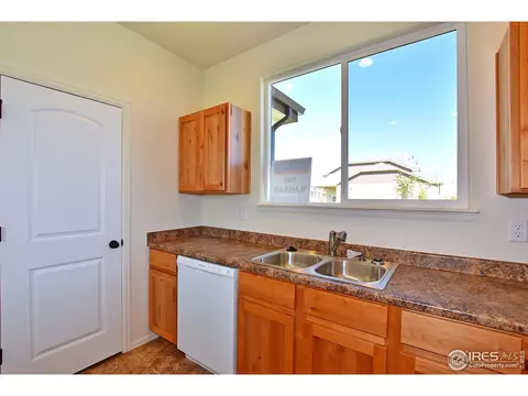 1001 Muntjac St, Severance, CO 80550 photo 16
