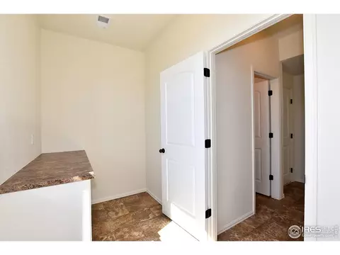 1001 Muntjac St, Severance, CO 80550 photo 23