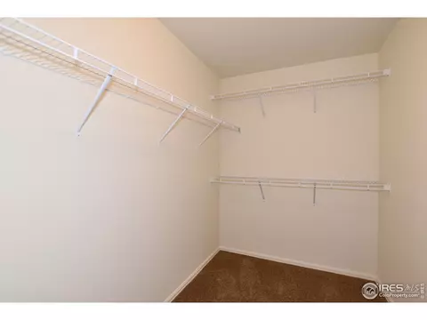 1001 Muntjac St, Severance, CO 80550 photo 27
