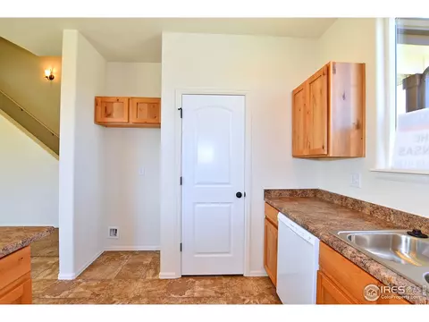 1001 Muntjac St, Severance, CO 80550 photo 17