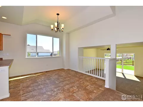 1001 Muntjac St, Severance, CO 80550 photo 11