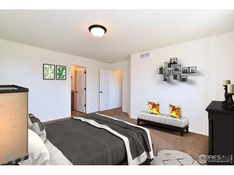 1001 Muntjac St, Severance, CO 80550 photo 7