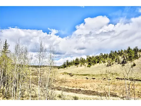 2473 E Longbow Dr, Como, CO 80432 photo 13