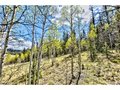 2473 E Longbow Dr, Como, CO 80432 photo 11