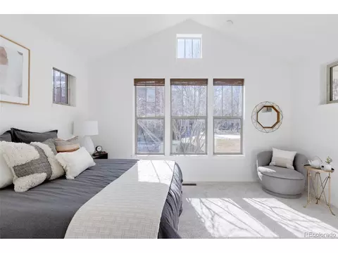 9173 E 29th Pl, Denver, CO 80238 photo 13