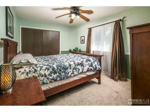 1113 Nantucket St, Windsor, CO 80550 photo 15